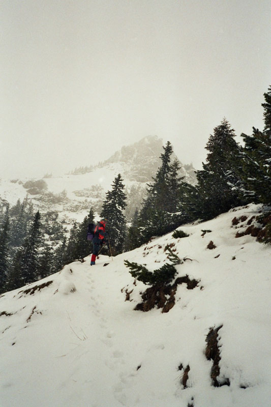 imm009_9